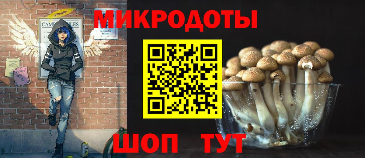 Псилоцибиновые грибы мухоморы Нижнекамск